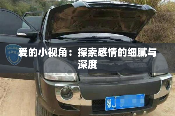爱的小视角：探索感情的细腻与深度