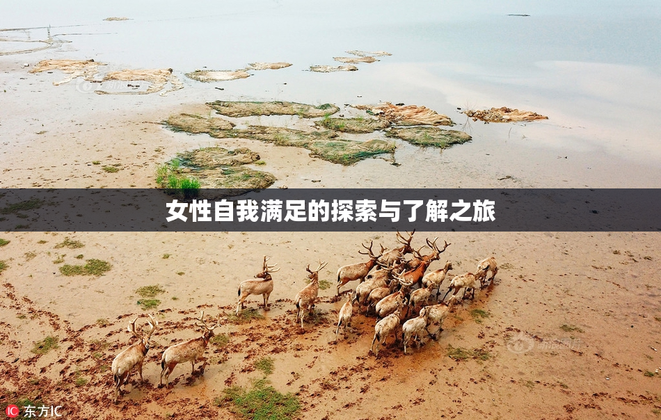 女性自我满足的探索与了解之旅
