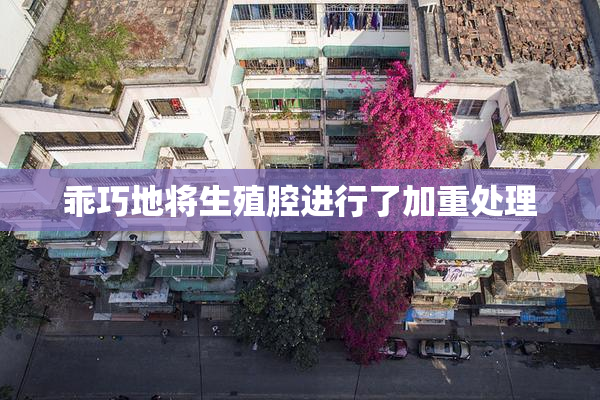 乖巧地将生殖腔进行了加重处理
