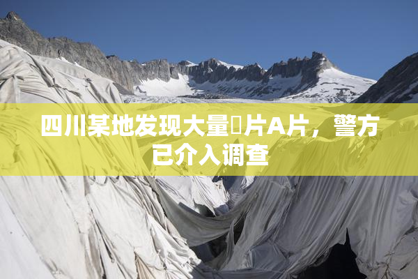 四川某地发现大量婬片A片，警方已介入调查