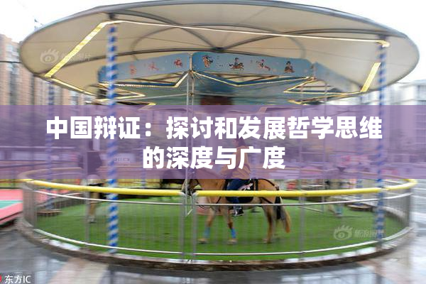 中国辩证：探讨和发展哲学思维的深度与广度