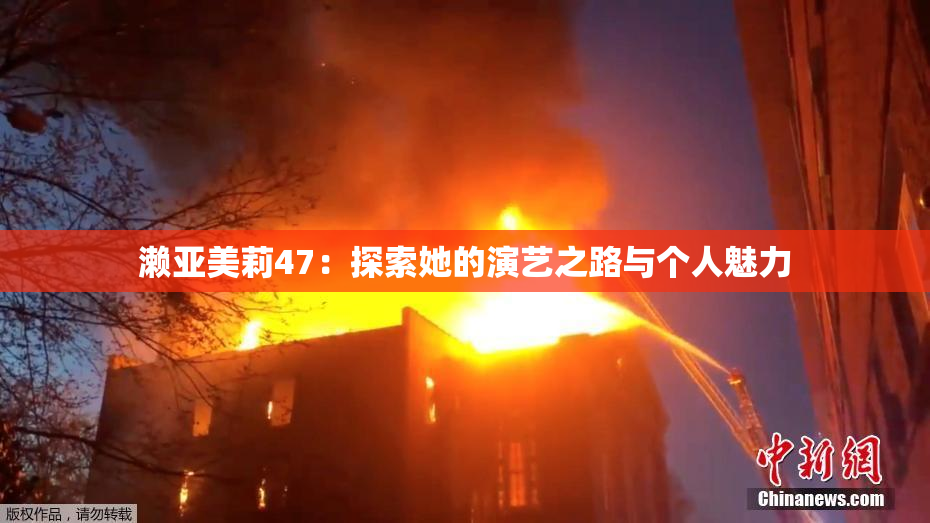 濑亚美莉47：探索她的演艺之路与个人魅力