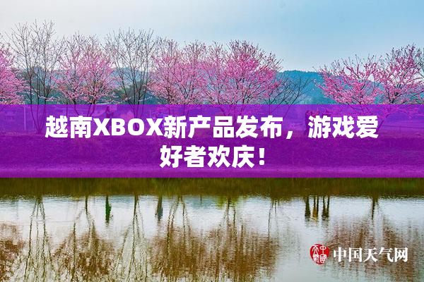 越南XBOX新产品发布，游戏爱好者欢庆！
