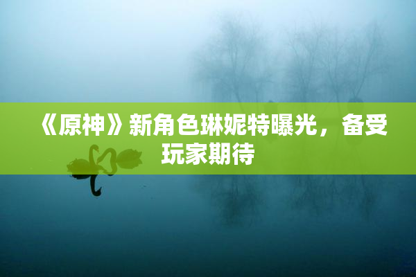《原神》新角色琳妮特曝光，备受玩家期待