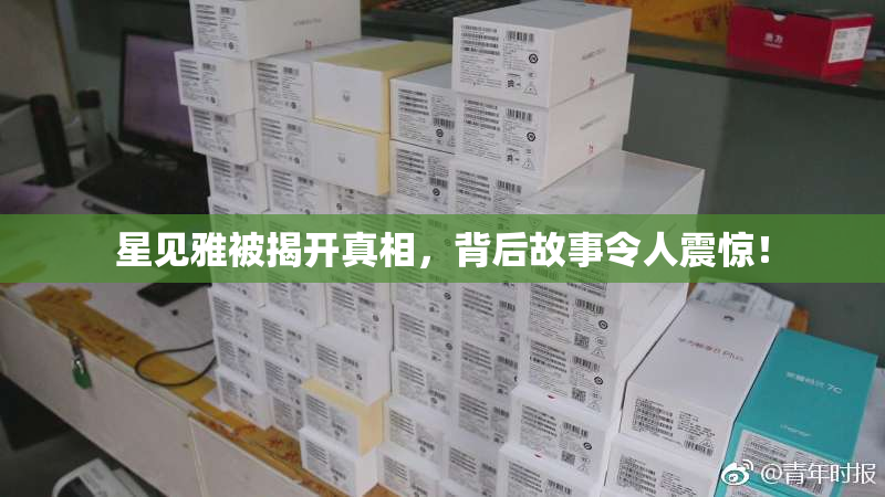 星见雅被揭开真相，背后故事令人震惊！