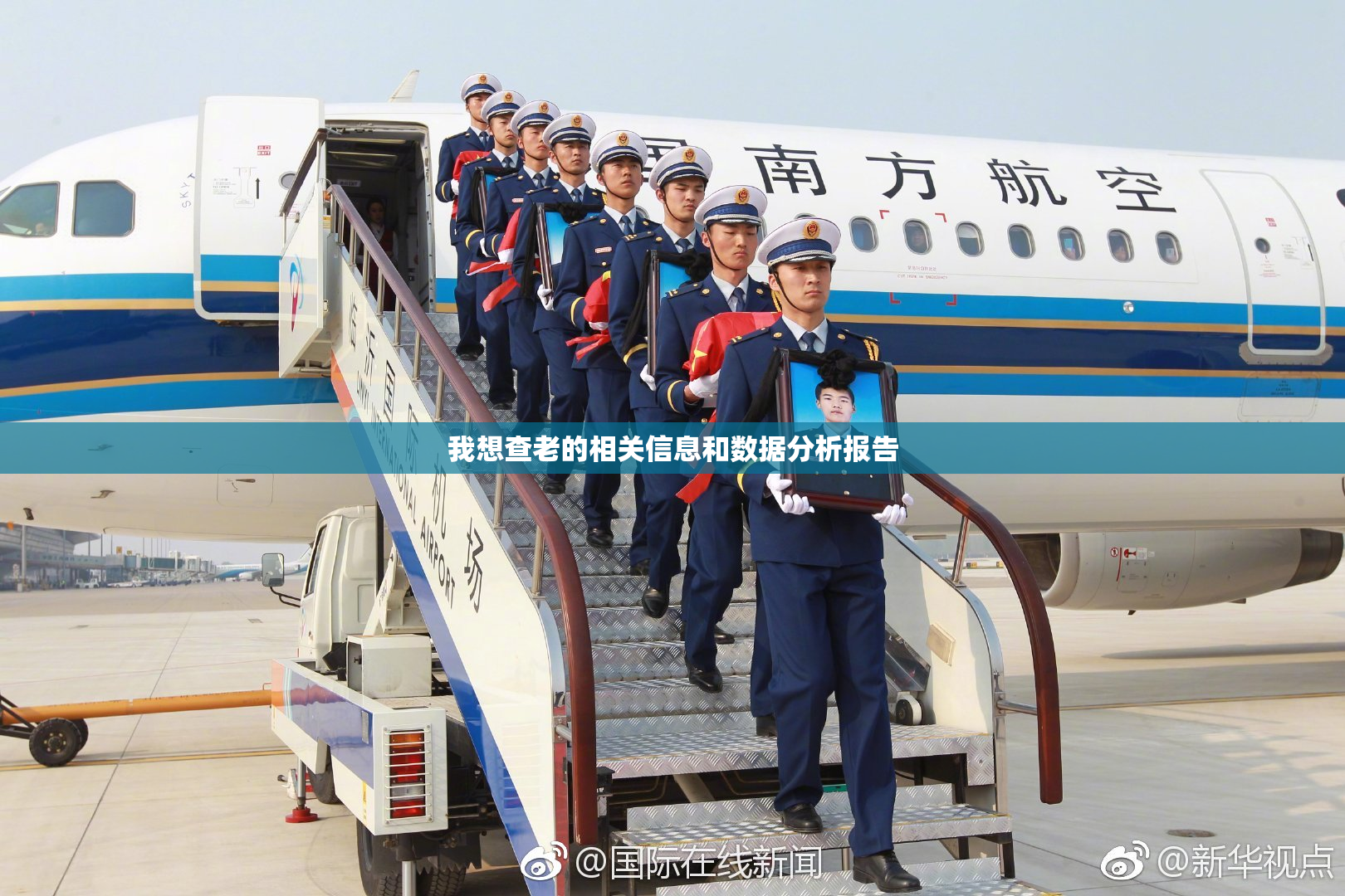 我想查老的相关信息和数据分析报告