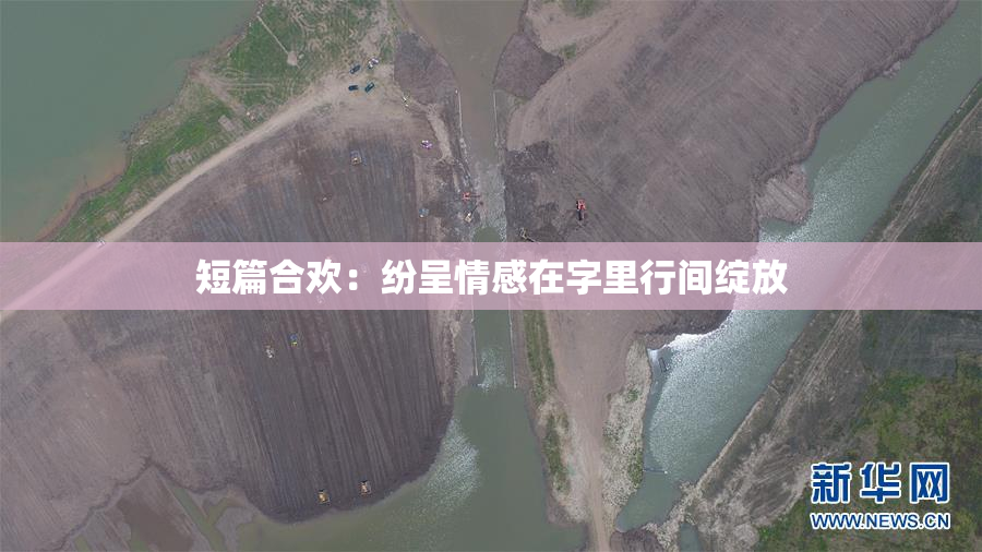 短篇合欢：纷呈情感在字里行间绽放