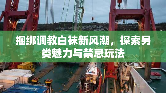 捆绑调教白袜新风潮，探索另类魅力与禁忌玩法