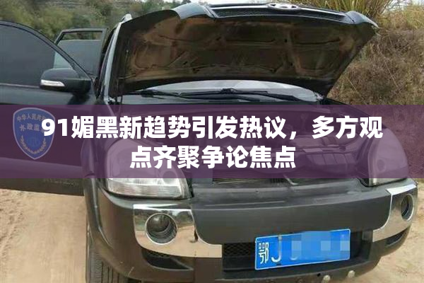 91媚黑新趋势引发热议，多方观点齐聚争论焦点