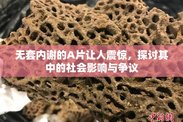 无套内谢的A片让人震惊，探讨其中的社会影响与争议