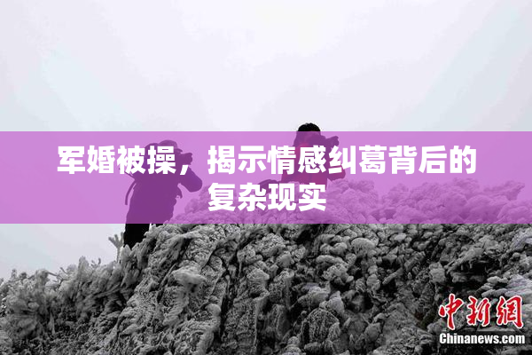 军婚被操，揭示情感纠葛背后的复杂现实