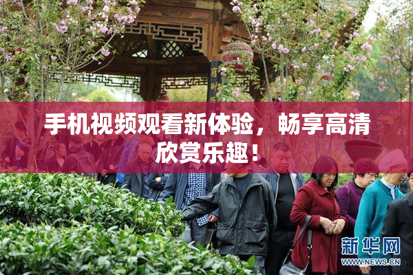 手机视频观看新体验，畅享高清欣赏乐趣！