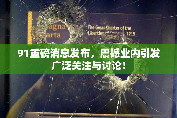 91重磅消息发布，震撼业内引发广泛关注与讨论！