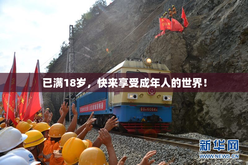 已满18岁，快来享受成年人的世界！
