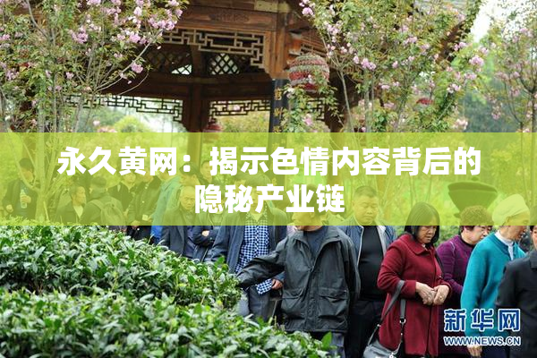 永久黄网：揭示色情内容背后的隐秘产业链