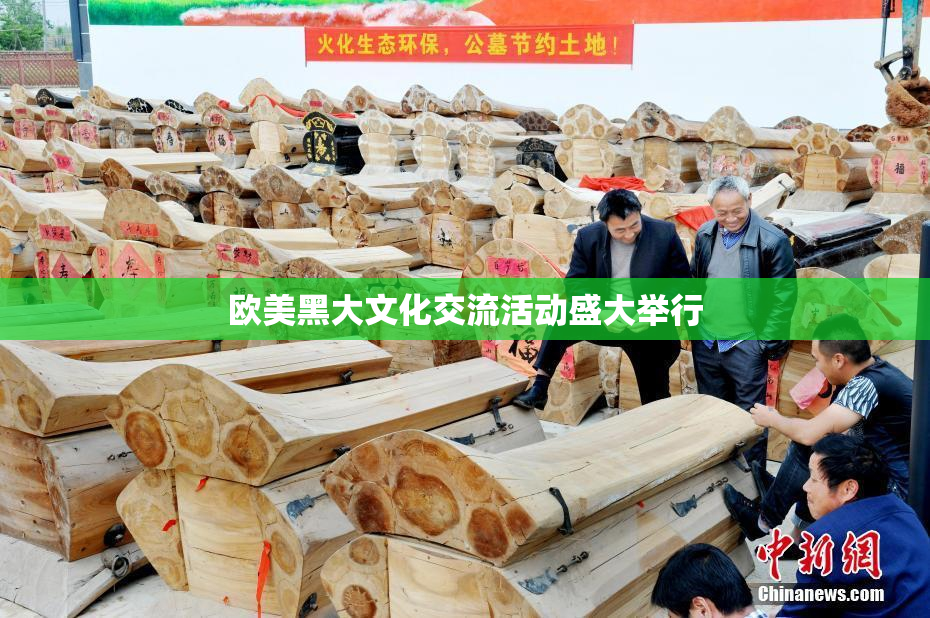 欧美黑大文化交流活动盛大举行