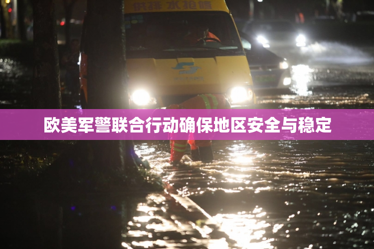 欧美军警联合行动确保地区安全与稳定