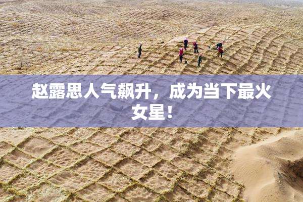 赵露思人气飙升，成为当下最火女星！