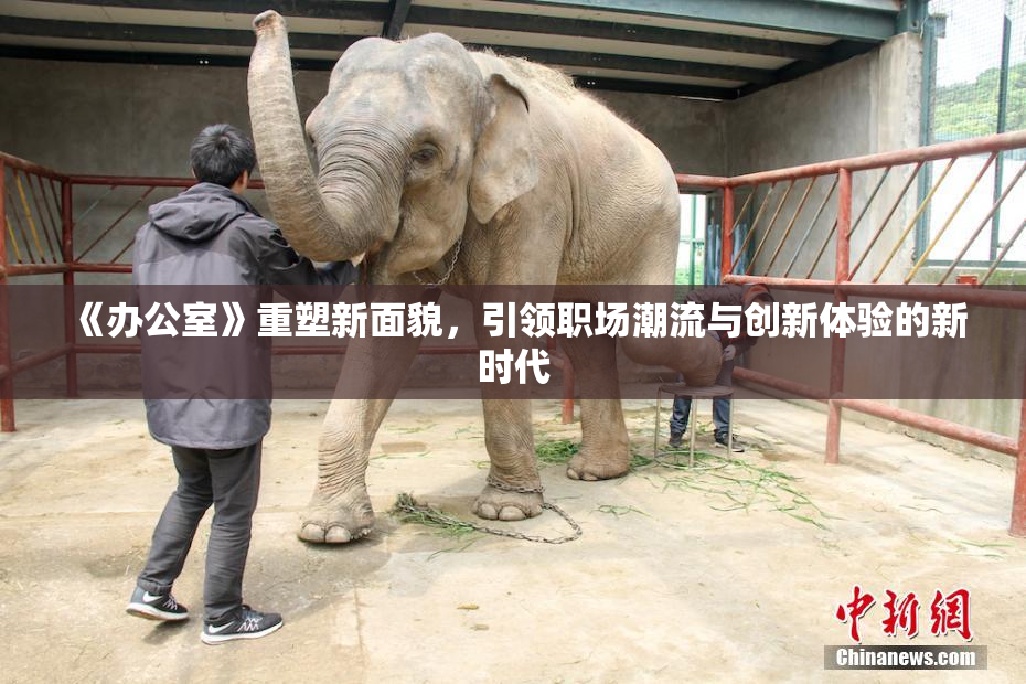 《办公室》重塑新面貌，引领职场潮流与创新体验的新时代