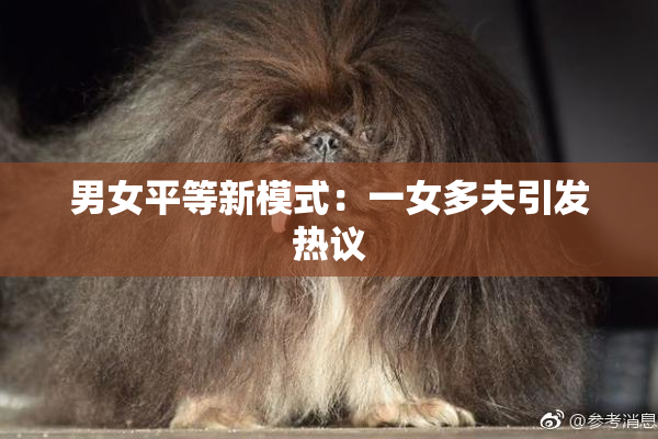 男女平等新模式：一女多夫引发热议
