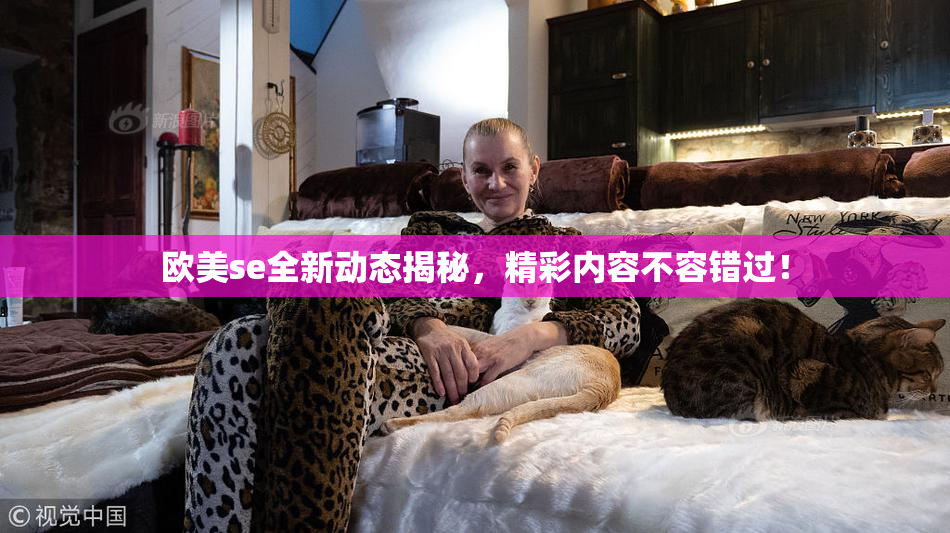 欧美se全新动态揭秘，精彩内容不容错过！