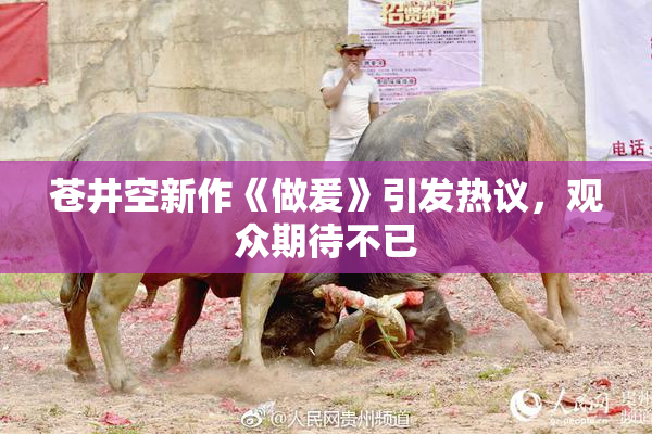 苍井空新作《做爰》引发热议，观众期待不已