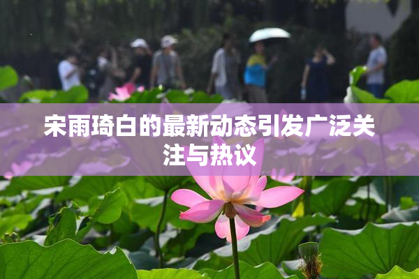 宋雨琦白的最新动态引发广泛关注与热议