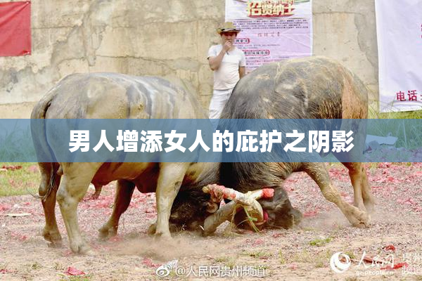 男人增添女人的庇护之阴影