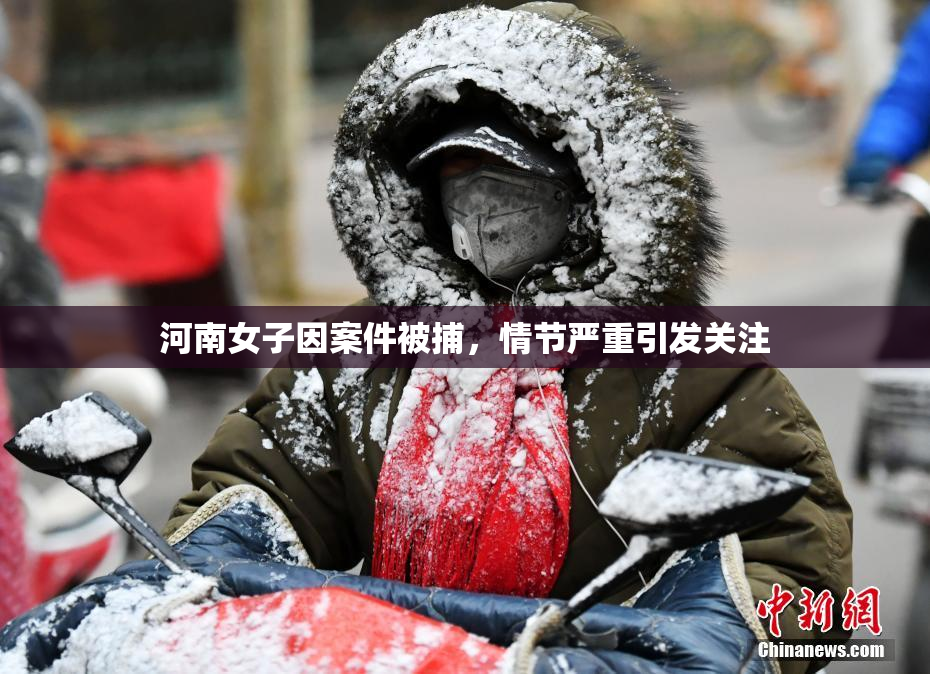 河南女子因案件被捕，情节严重引发关注