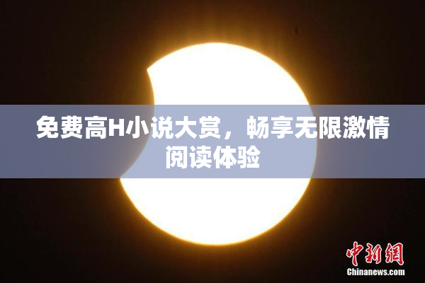 免费高H小说大赏，畅享无限激情阅读体验