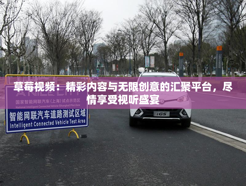 草莓视频：精彩内容与无限创意的汇聚平台，尽情享受视听盛宴