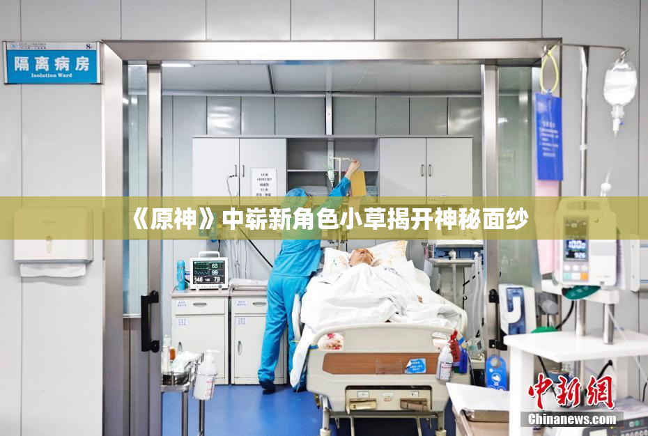 《原神》中崭新角色小草揭开神秘面纱