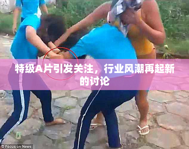 特级A片引发关注，行业风潮再起新的讨论