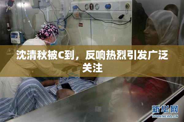 沈清秋被C到，反响热烈引发广泛关注