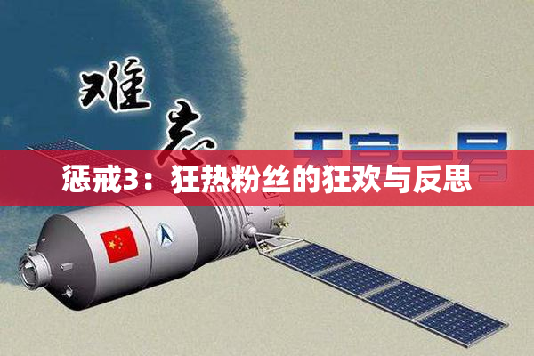 惩戒3：狂热粉丝的狂欢与反思