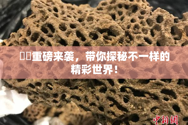 妺妺重磅来袭，带你探秘不一样的精彩世界！