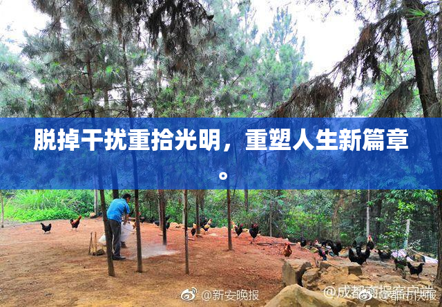 脱掉干扰重拾光明，重塑人生新篇章。