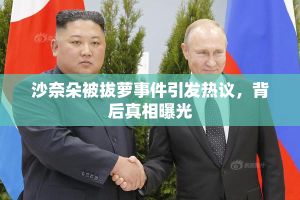 沙奈朵被拔萝事件引发热议，背后真相曝光