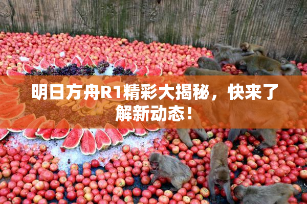 明日方舟R1精彩大揭秘，快来了解新动态！