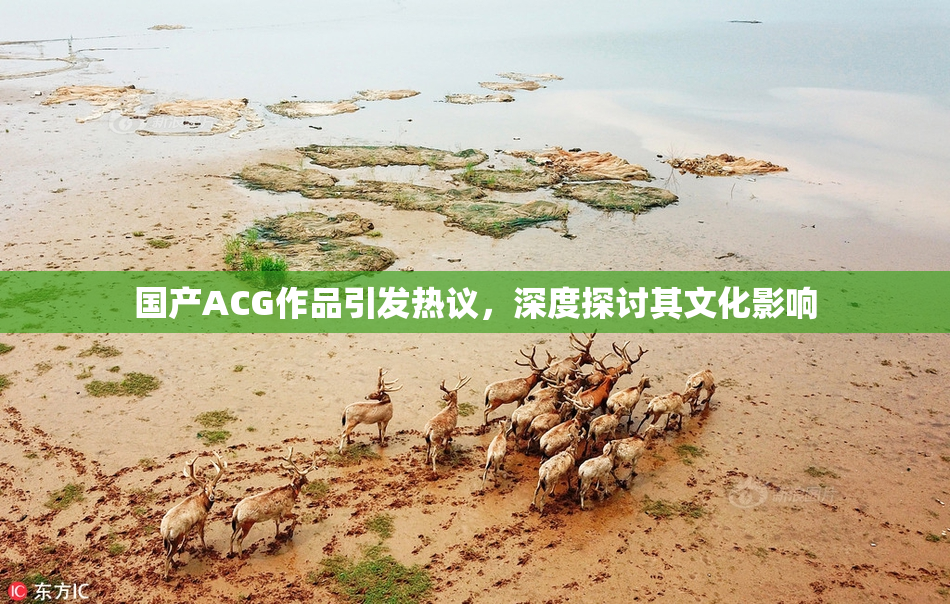国产ACG作品引发热议，深度探讨其文化影响