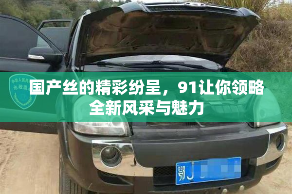 国产丝的精彩纷呈，91让你领略全新风采与魅力