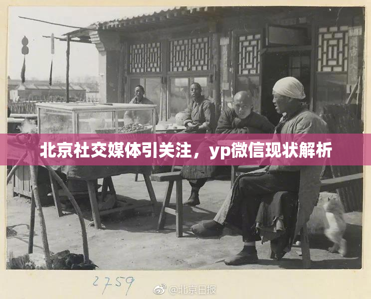北京社交媒体引关注，yp微信现状解析
