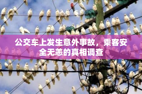 公交车上发生意外事故，乘客安全无恙的真相调查