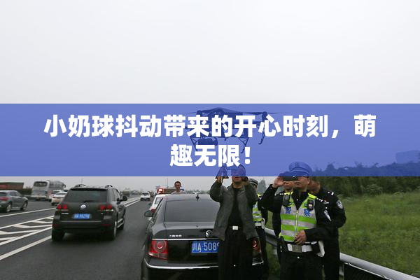 小奶球抖动带来的开心时刻，萌趣无限！