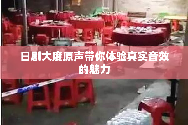 日剧大度原声带你体验真实音效的魅力