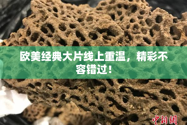 欧美经典大片线上重温，精彩不容错过！