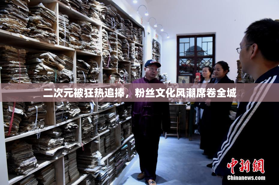 二次元被狂热追捧，粉丝文化风潮席卷全城