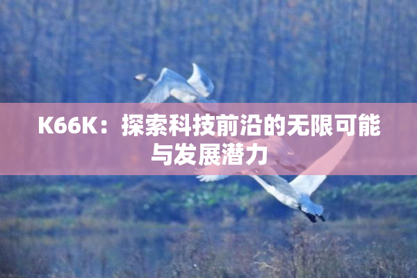 K66K：探索科技前沿的无限可能与发展潜力