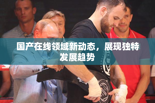 国产在线领域新动态，展现独特发展趋势