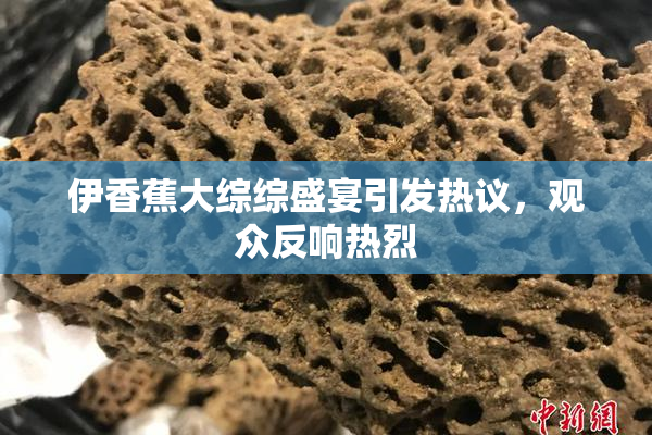 伊香蕉大综综盛宴引发热议，观众反响热烈